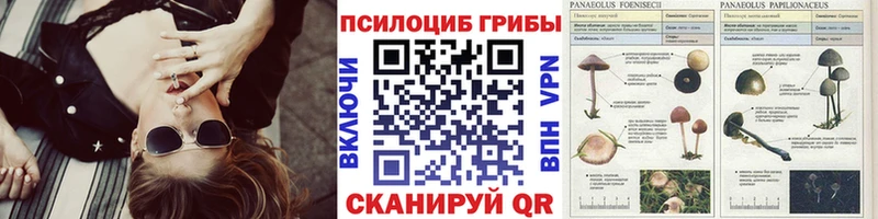 Галлюциногенные грибы прущие грибы  Уссурийск 